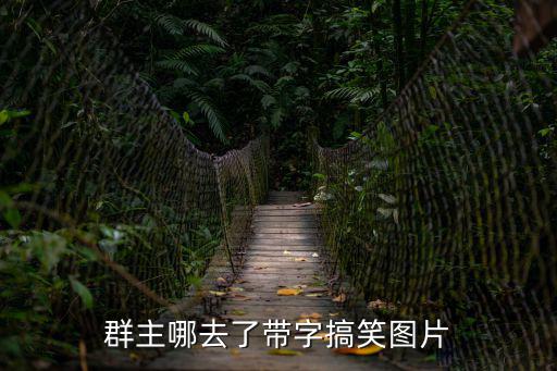 群主去東莞搞笑圖片，群主哪去了帶字搞笑圖片
