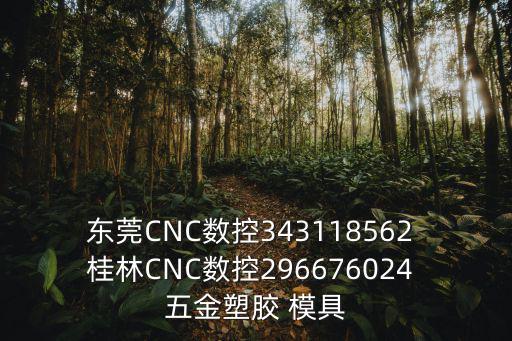 東莞CNC數(shù)控343118562 桂林CNC數(shù)控296676024 五金塑膠 模具