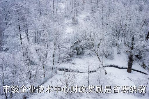 市級企業技術中心財政獎勵是否要納稅