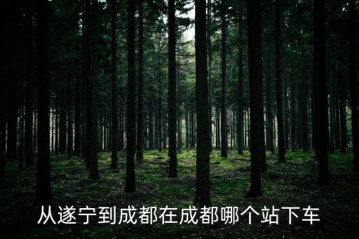 從遂寧到成都在成都哪個站下車