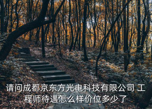 請問成都京東方光電科技有限公司 工程師待遇怎么樣價位多少了