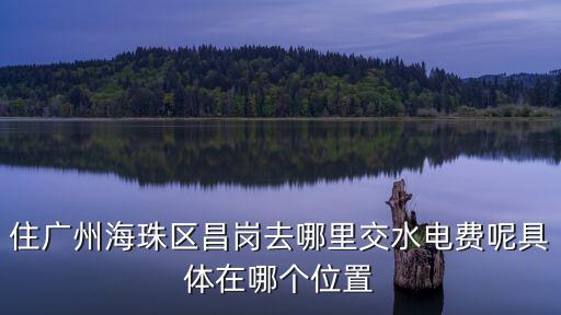 住廣州海珠區昌崗去哪里交水電費呢具體在哪個位置