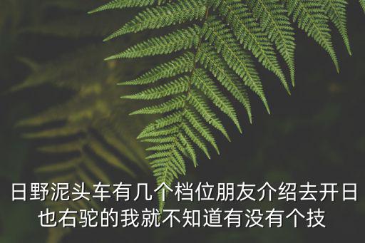 日野泥頭車有幾個檔位朋友介紹去開日也右駝的我就不知道有沒有個技