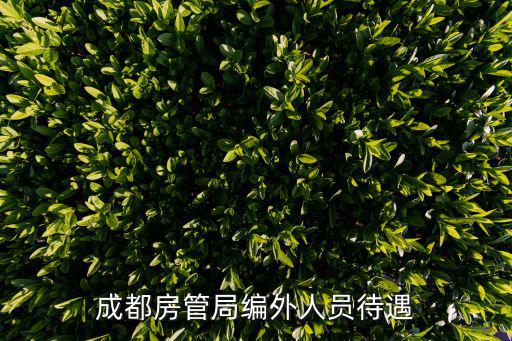 成都房管局編外人員待遇