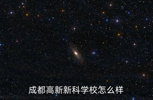 成都高新新科學校怎么樣