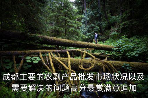 成都主要的農(nóng)副產(chǎn)品批發(fā)市場狀況以及需要解決的問題高分懸賞滿意追加