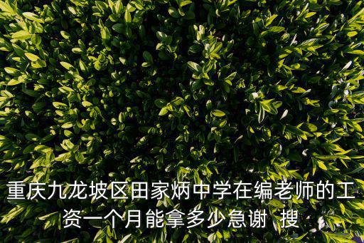 重慶九龍坡區田家炳中學在編老師的工資一個月能拿多少急謝  搜