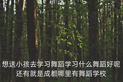 想送小孩去學(xué)習(xí)舞蹈學(xué)習(xí)什么舞蹈好呢還有就是成都哪里有舞蹈學(xué)校