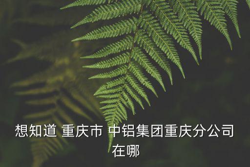 想知道 重慶市 中鋁集團(tuán)重慶分公司 在哪