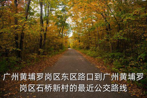 廣州黃埔羅崗區東區路口到廣州黃埔羅崗區石橋新村的最近公交路線