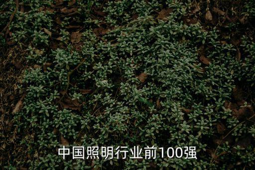 中國(guó)照明行業(yè)前100強(qiáng)