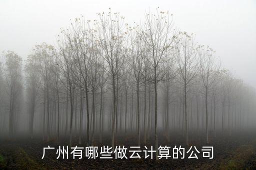 廣州有哪些做云計算的公司