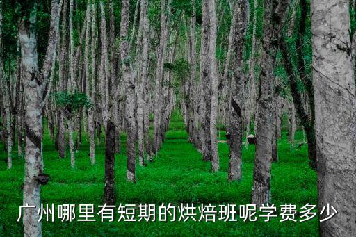 廣州哪里有短期的烘焙班呢學費多少