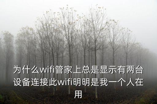 為什么wifi管家上總是顯示有兩臺設備連接此wifi明明是我一個人在用