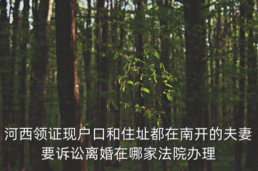 河西領證現戶口和住址都在南開的夫妻要訴訟離婚在哪家法院辦理