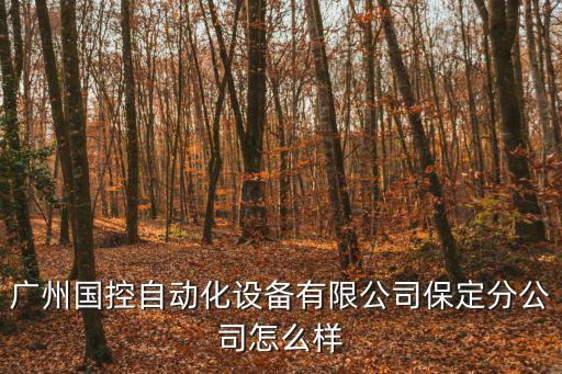 廣州國控流向，廣州國控自動化設備有限公司保定分公司怎么樣