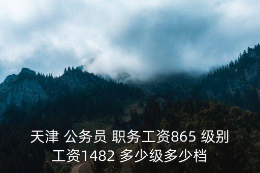 天津 公務員 職務工資865 級別工資1482 多少級多少檔