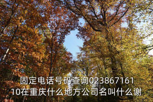 重慶市百望電話號碼，請問重慶的有線電視的電話