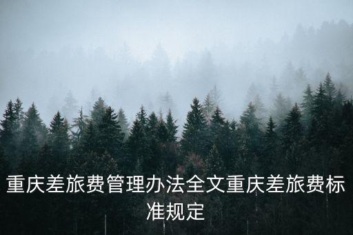 重慶差旅費管理辦法全文重慶差旅費標(biāo)準(zhǔn)規(guī)定