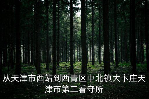 天津市第二看守所長，從天津市西站到西青區中北鎮大卞莊天津市第二看守所