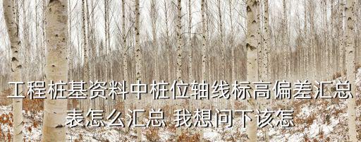 上海市樁基圍護資料表格，上海市政資料表式填寫的相關問題我現在工程剛開始做樁基總監要