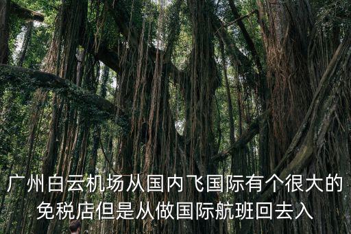廣州國外機場免稅店嗎，廣州白云機場免稅店有哪些品牌白云機場有免稅店嗎