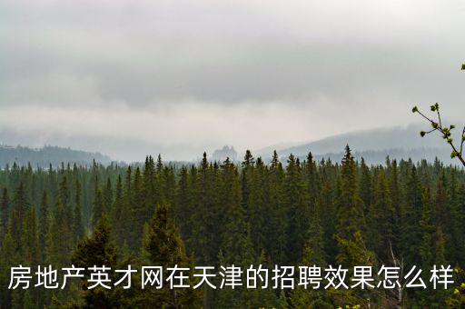 房地產英才網在天津的招聘效果怎么樣