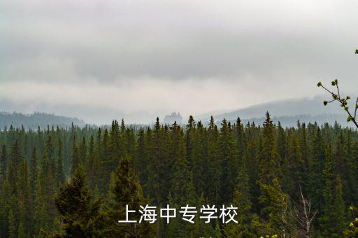 上海市奉賢中專網址，上海中專學校