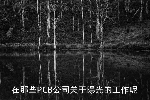 廣州倍興電子科技有限公司，聽(tīng)說(shuō)廣州有一家公司市理光投影機(jī)的華南總代是哪一家公司