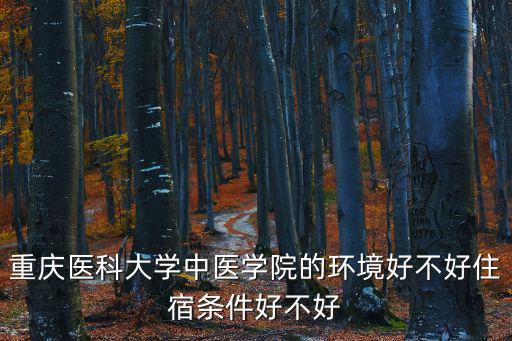 重慶醫科大學中醫學院的環境好不好住宿條件好不好
