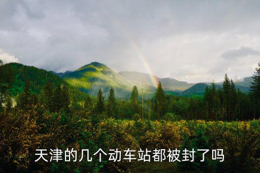 天津的幾個動車站都被封了嗎