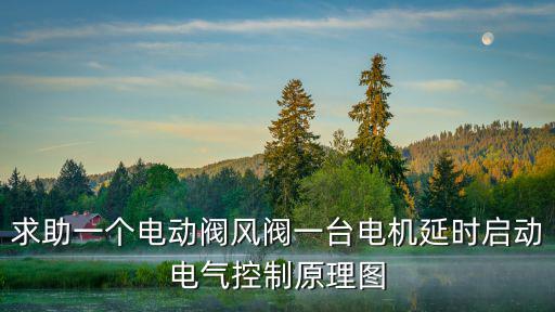 求助一個電動閥風(fēng)閥一臺電機延時啟動電氣控制原理圖