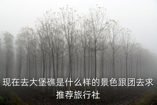 現在去大堡礁是什么樣的景色跟團去求推薦旅行社