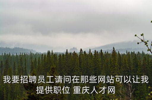 我要招聘員工請問在那些網站可以讓我提供職位 重慶人才網