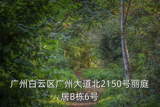 廣州白云區廣州大道北2150號麗庭居B棟6號