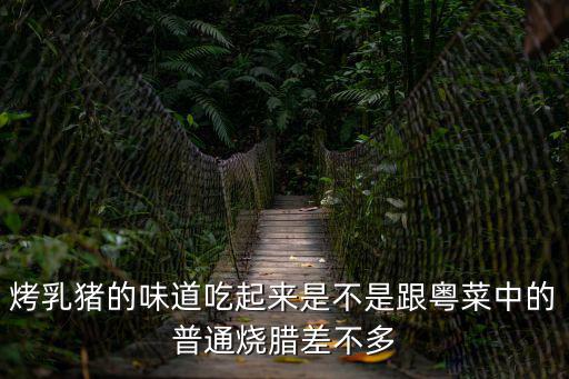 烤乳豬的味道吃起來是不是跟粵菜中的普通燒臘差不多