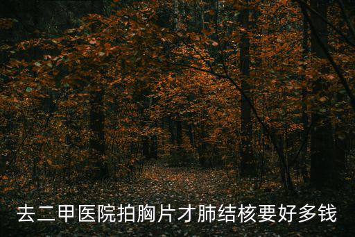 去二甲醫(yī)院拍胸片才肺結(jié)核要好多錢