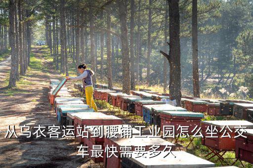 從烏衣客運站到腰鋪工業園怎么坐公交車最快需要多久