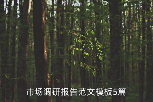 市場調(diào)研報告范文模板5篇