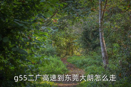 g55二廣高速到東莞大朗怎么走