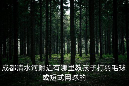 成都市學打羽毛球在哪，在成都什么地方可以打羽毛球