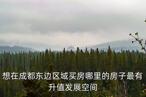 成都市東進項目推薦，成都東部新區新樓盤有哪些
