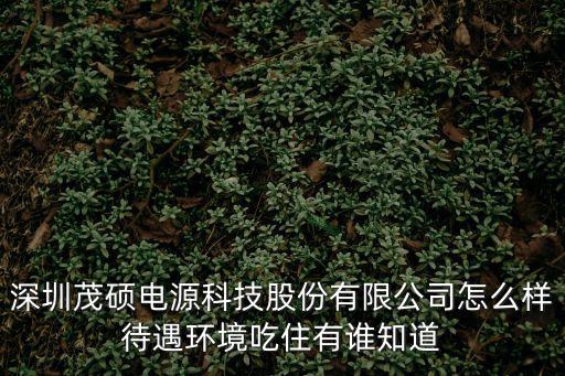 深圳電科電源股份有限公司，深圳市電科電源有限公司是長白班嗎