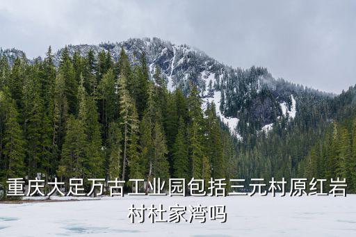 重慶大足萬古工業園包括三元村原紅巖村杜家灣嗎