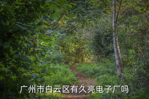 廣州白云有電子廠嗎，廣州市白云區有久亮電子廠嗎