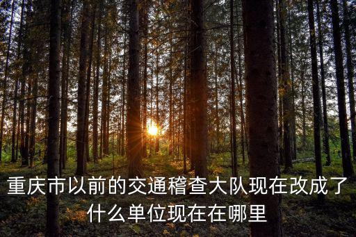 重慶市以前的交通稽查大隊現在改成了什么單位現在在哪里