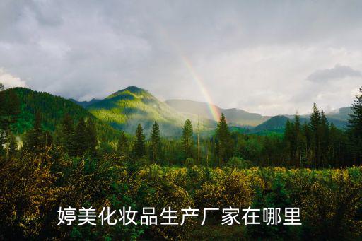 婷美化妝品生產(chǎn)廠家在哪里