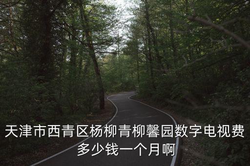 天津市西青區楊柳青柳馨園數字電視費 多少錢一個月啊