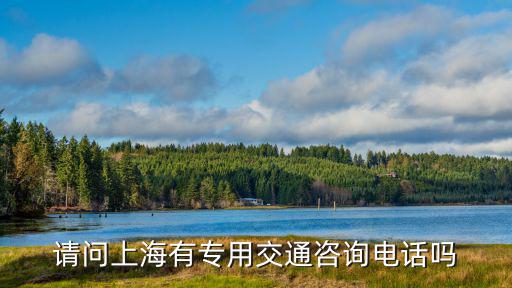 請問上海有專用交通咨詢電話嗎