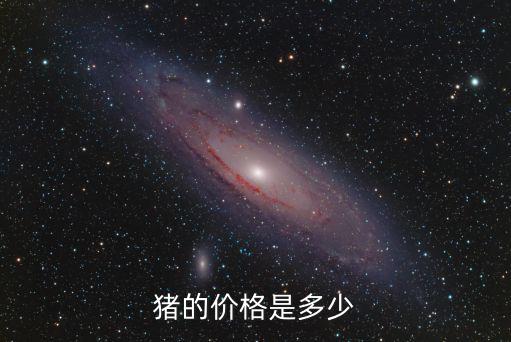 豬的價格是多少